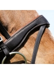 Bridle PERSEUS