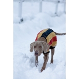 Šiltas flysinis šuns apsiaustas Rambo Newmarket