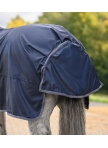 ECONOMIC rain sheet