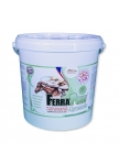 Ferrapony Dynamic for horses