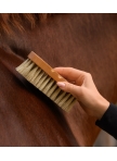 Exclusive Line contour brush