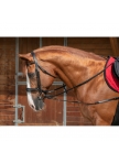 NORTON PRO Short elastic side Reins with pulleys