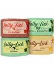 Hippotonic Salt Lick Lolly Lick, 700 g