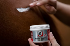 Horse Horse