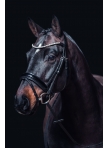 Bridle Fleur
