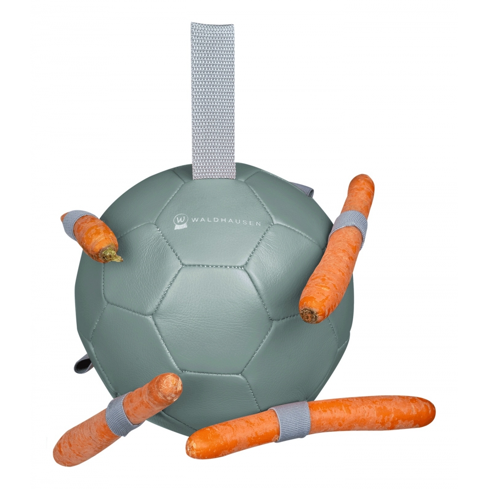Carrot Ball