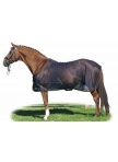 Fly rug Santos