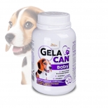 GelaCan Baby mineral nutrition for females and puppies GelaCan Baby mineral nutrition for females and puppies