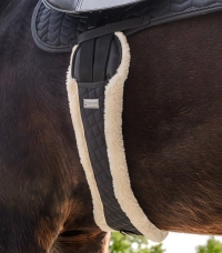 Horse Horse