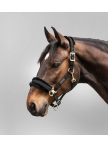 Halter Exclusive Halter Exclusive