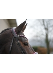Bridle Manchester