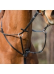Martingale Belinda