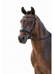 Bridle Ira Bridle Ira