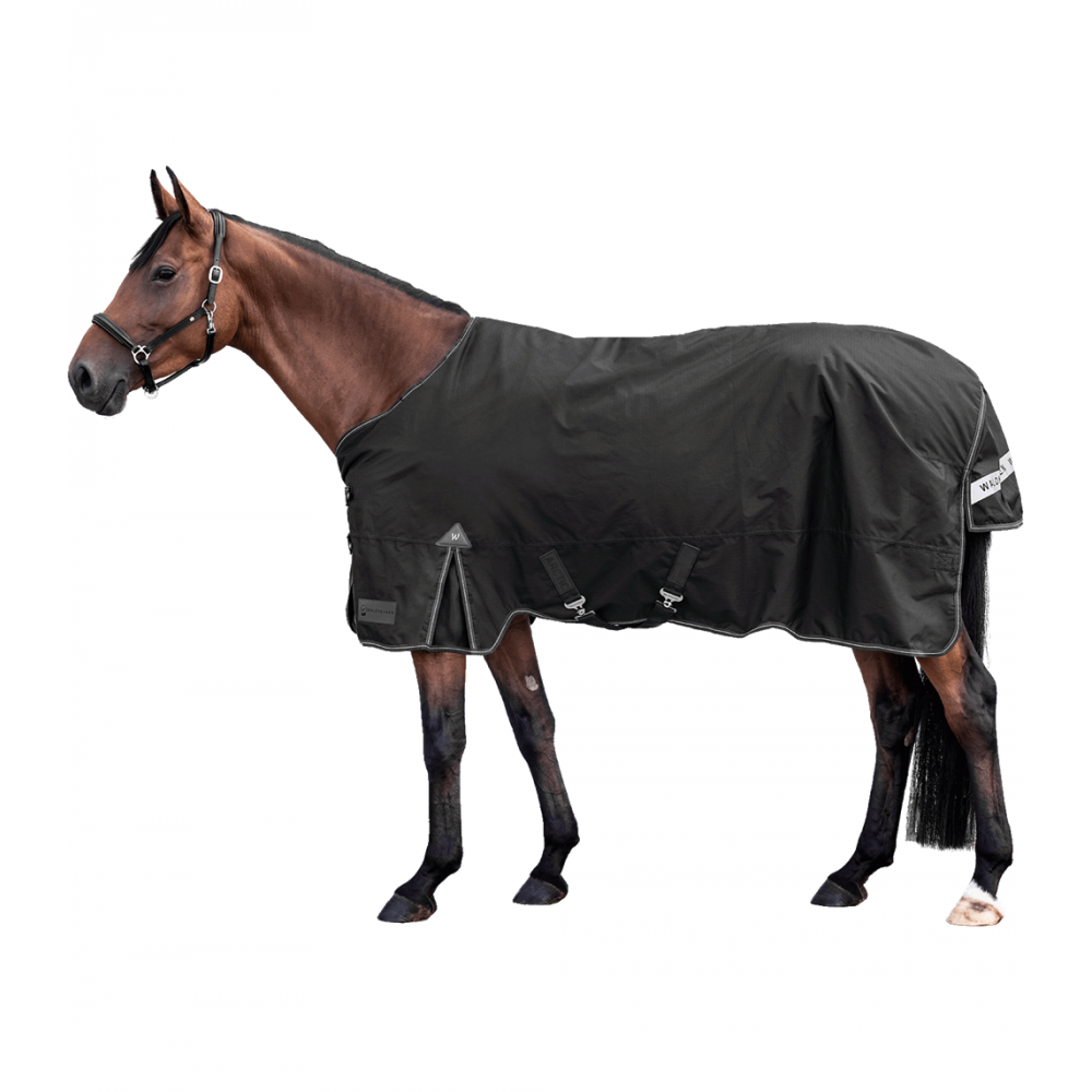 Turnout Rug Arctic, 100 g Turnout Rug Arctic, 100 g
