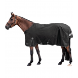 Turnout Rug Arctic, 100 g Turnout Rug Arctic, 100 g