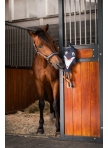 Horse Toy Eskadron Dolphin Classic Sports 26 Horse Toy Eskadron Dolphin Classic Sports 26