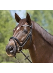 Snaffle Bridle Kieffer Lea