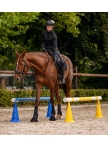 Set of 8 XL pylons including bag (height 50 cm)