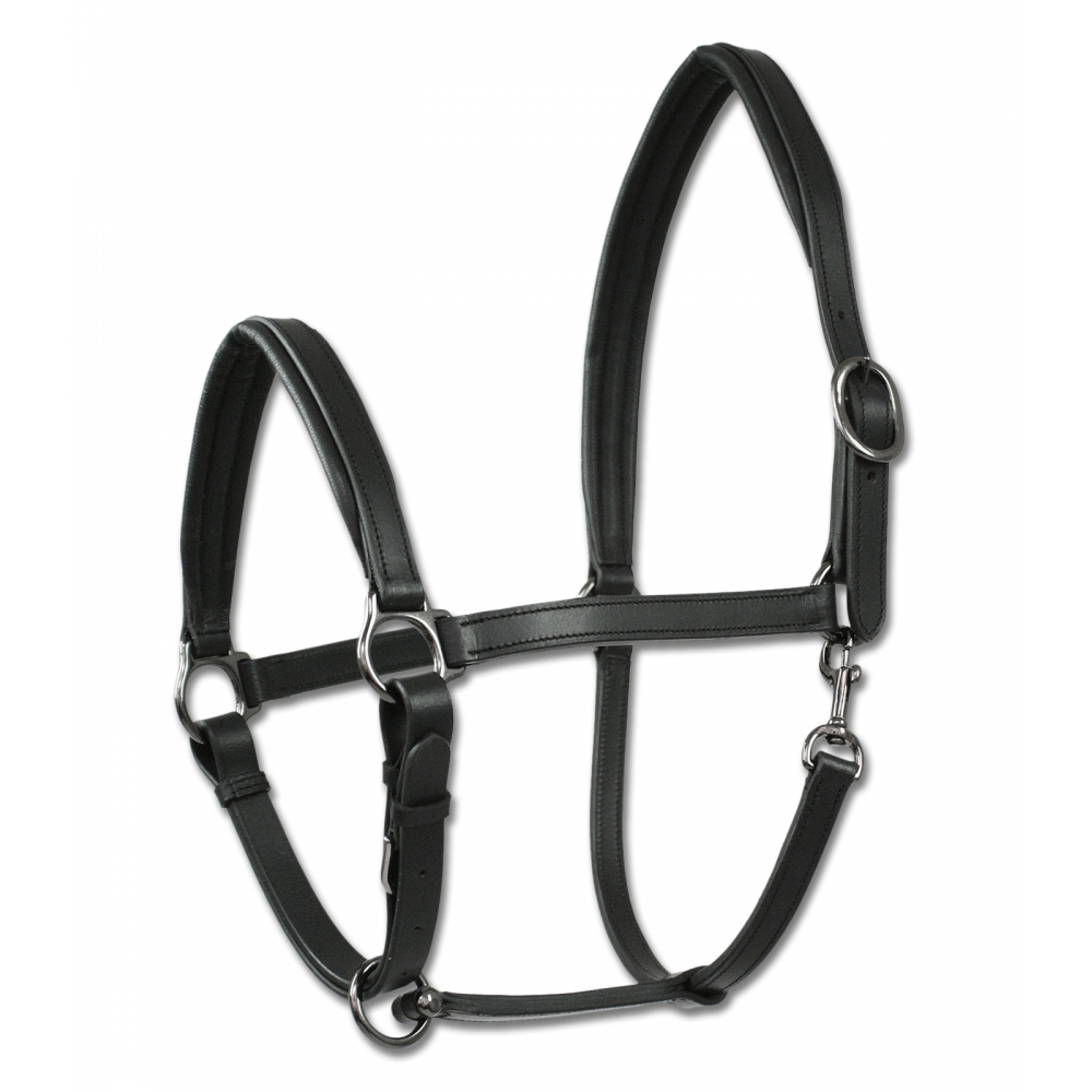Leather Halter X-Line Finesse II Leather Halter X-Line Finesse II