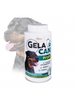 GelaCan Profi mineral nutrition for dogs