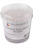 WALDHAUSEN