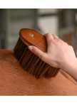 Anti-Dust Brush HardWood
