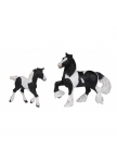 PAPO - Piebald Irish Cob Foal