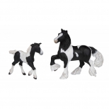 PAPO - Piebald Irish Cob Foal