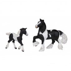 PAPO - Piebald Irish Cob Foal