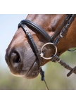 Snaffle Bridle Kieffer Lea