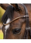 Shine Waldhausen X-Line browband, brown