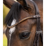 Shine Waldhausen X-Line browband, brown Shine Waldhausen X-Line browband, brown