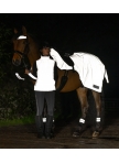 Reflective riding vest