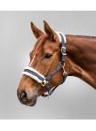 Halter Exclusive Halter Exclusive
