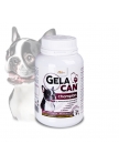 GelaCan Champion for nutrition of the hair for black and white dogs