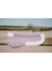 RIDING WORLD Back Pad - EK-Maxifun