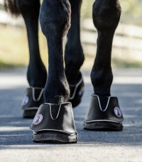 Horse Horse