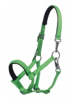 Foal Head Collar Millie