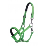 Foal Head Collar Millie