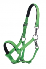Foal Head Collar Millie