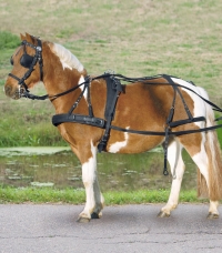 Single Harness, synthetic for Pony