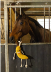 Excellent Horse Foodie Friends Banana