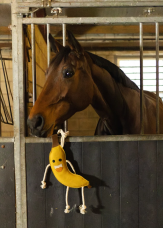 Horse Horse