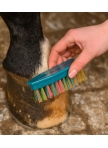 Rainbow Hoof Brush Rainbow Hoof Brush