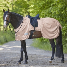 Anti Fly Riding Out Sheet Protect