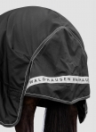 WALDHAUSEN