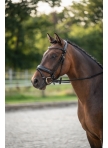 Bridle Ira Bridle Ira