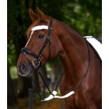 REFLEX bridle set