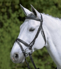 Bridles and Accessories