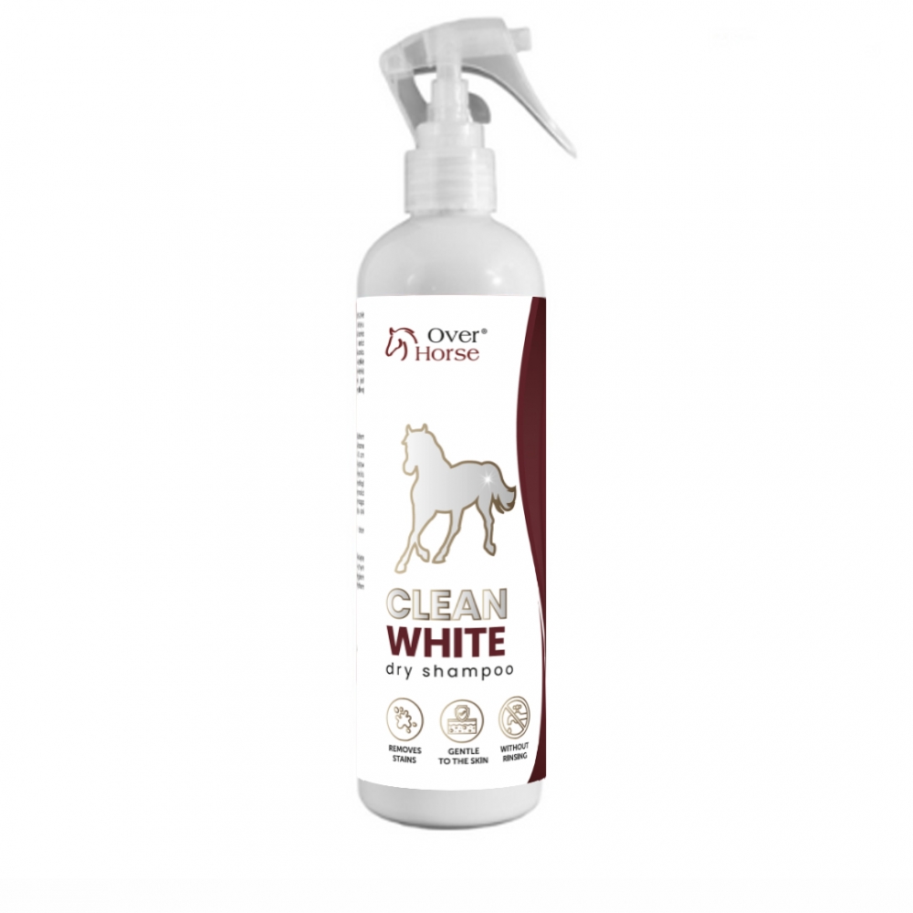 Clean White Dry Shampoo Clean White Dry Shampoo